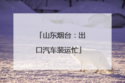 山东烟台：出口汽车装运忙