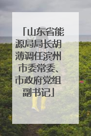 山东省能源局局长胡薄调任滨州市委常委、市政府党组副书记