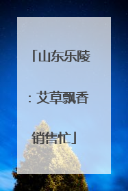 山东乐陵：艾草飘香销售忙