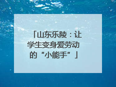 山东乐陵：让学生变身爱劳动的“小能手”