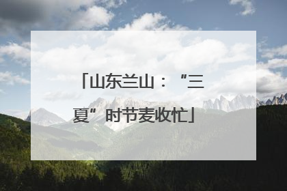 山东兰山：“三夏”时节麦收忙