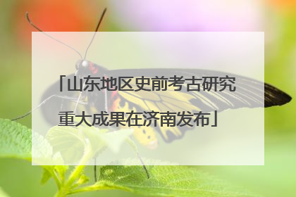 山东地区史前考古研究重大成果在济南发布