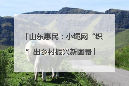 山东惠民：小绳网“织”出乡村振兴新图景