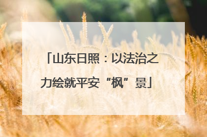 山东日照：以法治之力绘就平安“枫”景