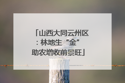山西大同云州区：林地生“金” 助农增收前景旺