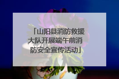 山阳县消防救援大队开展端午前消防安全宣传活动