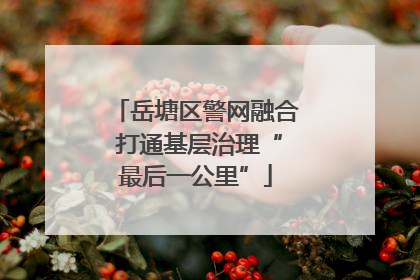 岳塘区警网融合 打通基层治理“最后一公里”