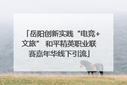 岳阳创新实践“电竞+文旅” 和平精英职业联赛嘉年华线下引流