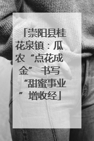 崇阳县桂花泉镇：瓜农“点花成金” 书写“甜蜜事业”增收经