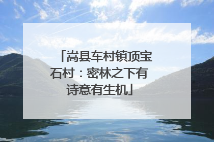 嵩县车村镇顶宝石村：密林之下有诗意有生机