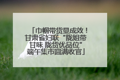 巾帼带货显成效！甘肃省妇联“陇姐带甘味 陇货优品位”端午集市圆满收官
