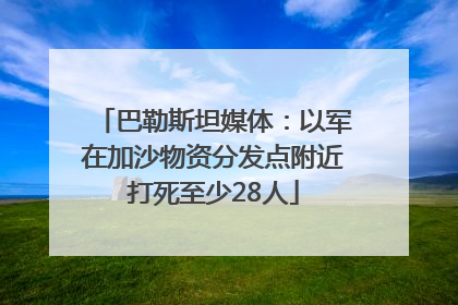 巴勒斯坦媒体：以军在加沙物资分发点附近打死至少28人