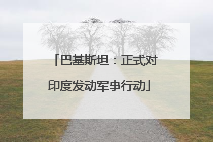 巴基斯坦：正式对印度发动军事行动