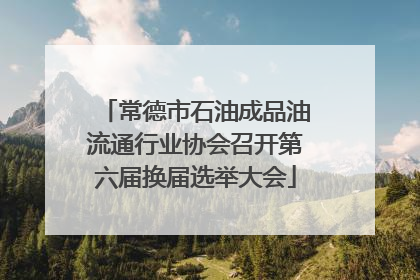 常德市石油成品油流通行业协会召开第六届换届选举大会