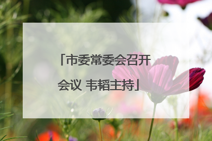 市委常委会召开会议 韦韬主持