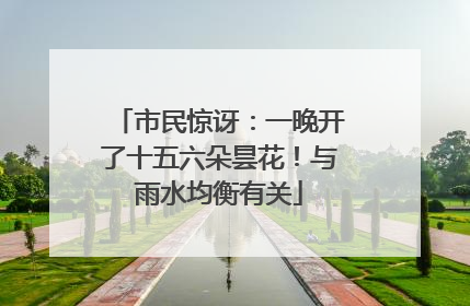 市民惊讶：一晚开了十五六朵昙花！与雨水均衡有关