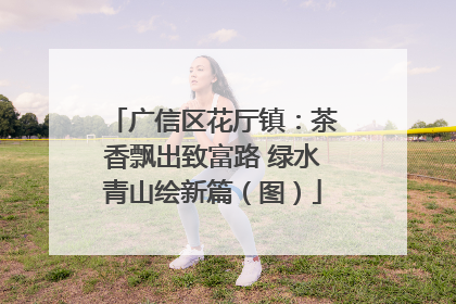 广信区花厅镇：茶香飘出致富路 绿水青山绘新篇（图）
