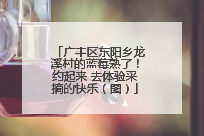 广丰区东阳乡龙溪村的蓝莓熟了！约起来 去体验采摘的快乐（图）