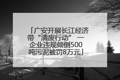 广安开展长江经济带“清废行动” 一企业违规倾倒500吨污泥被罚8万元