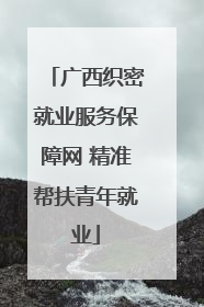 广西织密就业服务保障网 精准帮扶青年就业