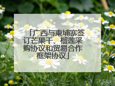 广西与柬埔寨签订芒果干、榴莲采购协议和贸易合作框架协议