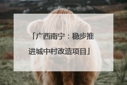 广西南宁：稳步推进城中村改造项目