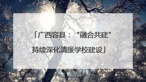 广西容县：“融合共建”持续深化清廉学校建设