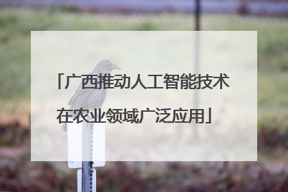 广西推动人工智能技术在农业领域广泛应用