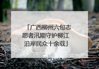 广西柳州六旬志愿者汛期守护柳江沿岸民众十余载