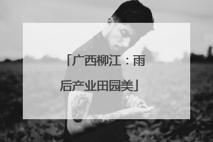广西柳江：雨后产业田园美