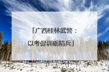 广西桂林武警：以考促训砺精兵