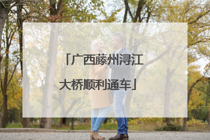 广西藤州浔江大桥顺利通车