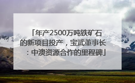 年产2500万吨铁矿石的新项目投产，宝武董事长：中澳资源合作的里程碑