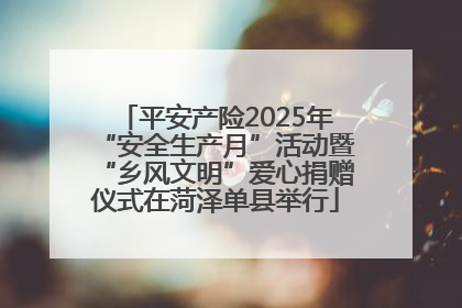 平安产险2025年“安全生产月”活动暨“乡风文明”爱心捐赠仪式在菏泽单县举行
