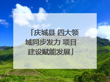 庆城县 四大领域同步发力 项目建设赋能发展