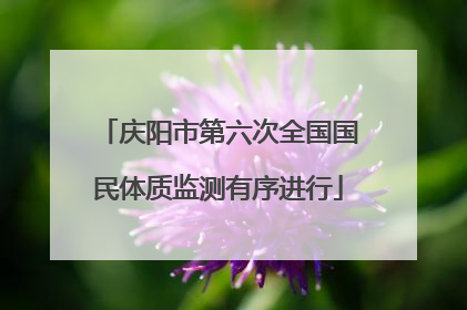 庆阳市第六次全国国民体质监测有序进行