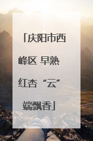 庆阳市西峰区 早熟红杏“云”端飘香
