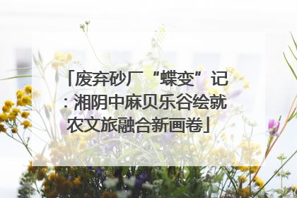 废弃砂厂“蝶变”记：湘阴中麻贝乐谷绘就农文旅融合新画卷