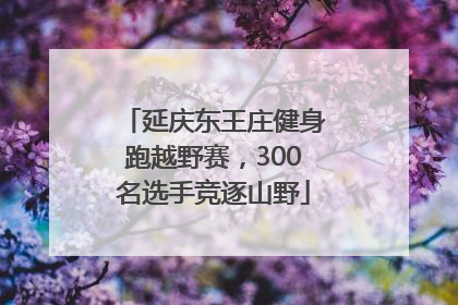 延庆东王庄健身跑越野赛，300名选手竞逐山野