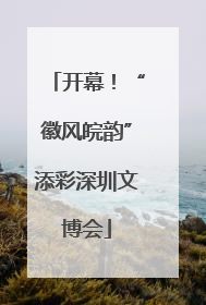 开幕！“徽风皖韵”添彩深圳文博会