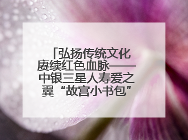 弘扬传统文化 赓续红色血脉——中银三星人寿爱之翼“故宫小书包”公益捐赠仪式落地“红色故都”江西瑞金