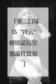 张三口环岛“祥云”模纹花坛呈现最佳景观