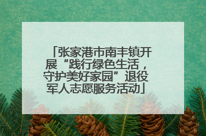 张家港市南丰镇开展“践行绿色生活，守护美好家园”退役军人志愿服务活动