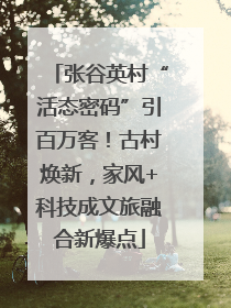 张谷英村“活态密码”引百万客！古村焕新，家风+科技成文旅融合新爆点