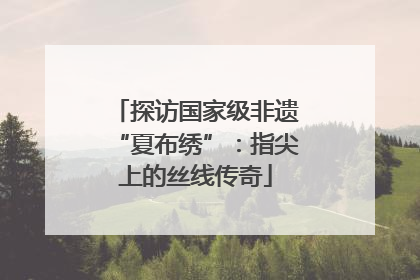 探访国家级非遗“夏布绣”：指尖上的丝线传奇