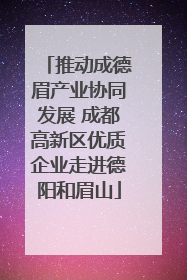 推动成德眉产业协同发展 成都高新区优质企业走进德阳和眉山