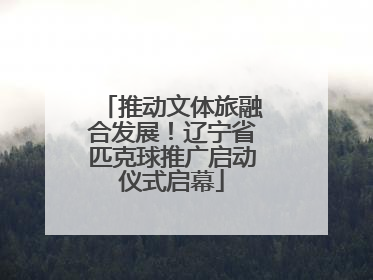 推动文体旅融合发展！辽宁省匹克球推广启动仪式启幕