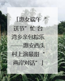 惠女端午“送节”忙 台湾乡亲包粽乐——惠安西头村上演最甜“两岸对话”