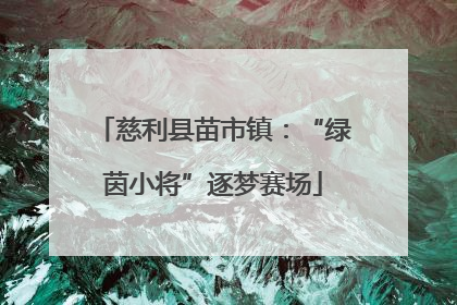 慈利县苗市镇：“绿茵小将”逐梦赛场