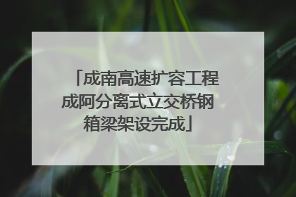 成南高速扩容工程成阿分离式立交桥钢箱梁架设完成
